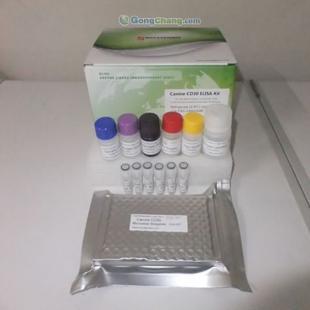 供應(yīng)人長(zhǎng)效甲狀腺刺激素(LATS)ELISA試劑盒 助力科研與精細(xì)化學(xué)品領(lǐng)域的非臨床研究